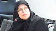 سپیده امیدواری