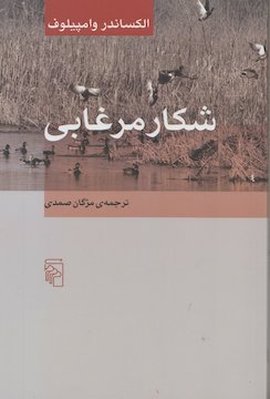 نمایش