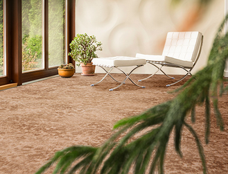 معرفی جامع پالاز موکت در مدل های جدید