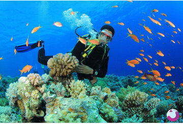 پنج تور گرمسیری برای سفر در زمستان سرد